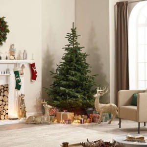 7ft Natural Green Caucasian Fir Artificial Christmas Tree 7ft Natural Green Caucasian Fir Artificial Christmas Tree