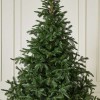 7ft Natural Green Caucasian Fir Artificial Christmas Tree