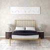 Giulia Furniture Gold Metal Modern Double Bed