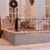 Nova Garden TWW 2000 Copper Glow LED Cluster Christmas Lights - PRE ORDER