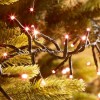 960 Copper Glow LED Cluster Christmas Lights