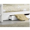 Julian Bowen Orion Furniture Pure White Bunk Bed with Drawer and Shelves