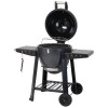 Lifestyle Appliances Outdoor Dragon Egg Charcoal BBQ LFS300