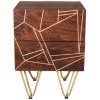 Indian Hub Mango Dark Gold Furniture 2 Drawer Side Table