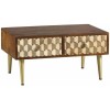Indian Hub Edison Mango Furniture 2 Drawer Coffee Table CN07
