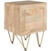 Indian Hub Mango Light Gold Furniture 2 Drawer Side Table