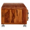 Mallani Bohemian Furniture Sheesham 2 Door Coffee Table 5502349