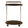 Ackley 2 Tier Gold Finish Metal and Black Glass Drinks Trolley 2405438