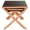 Ackley Rose Gold Metal and Black Glass Nesting Tables 2405435