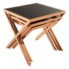 Ackley Rose Gold Metal and Black Glass Nesting Tables 2405435