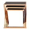 Ackley Set Of 3 Rose Gold Finish Metal and Black Glass Nesting Tables 2405433