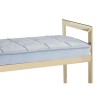 Allure Furniture Blue Velvet Seat and Gold Metal Frame Bench 5502625