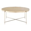 Allure Grey Mirrord Glass And Brushed Nickel Metal Coffee Table 5501439
