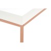 Allure White High Gloss and Rose Gold Metal Coffee Table 5501364