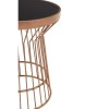 Alvaro Copper Finish Metal and Black Glass Round Side Table 5501728