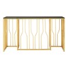 Alvaro Gold Finish Metal and Black Glass Hexagonal Console Table 5501718