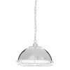 New Foundry Industrial Furniture Iron Chrome Pendant Light 2502214