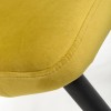 Shankar Nero Brushed Velvet Lime Gold Dining Chair Pair