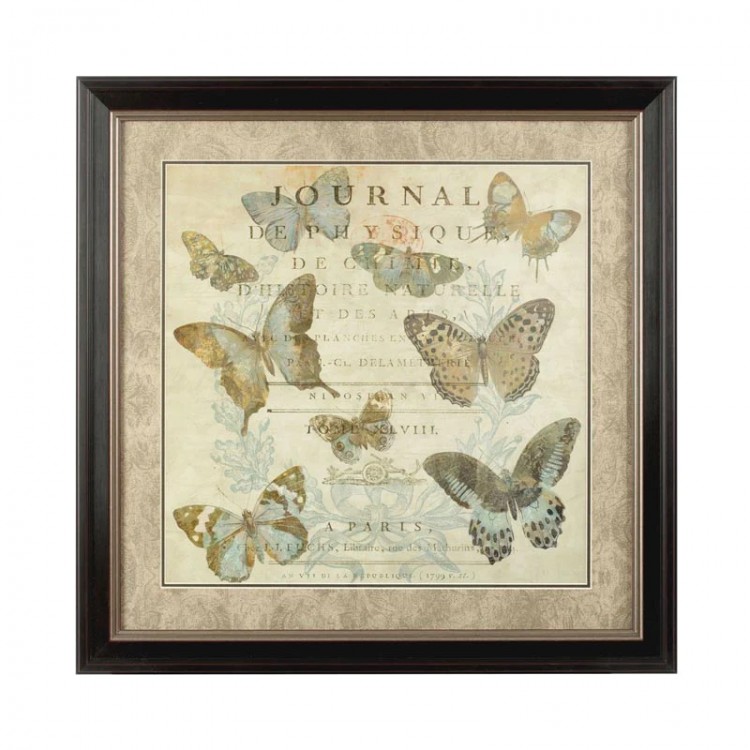 Interiors Multi-coloured Framed Butterfly 1 Wall Art
