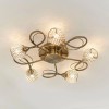 Regency Designs Aherne Large Antique Brass 5 Ceiling Lamp Light