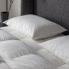 Simply Sleep White Anti Allergy Microfibre and 100% Cotton Pillow