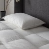 Simply Sleep White Anti Allergy Microfibre and 100% Cotton Pillow