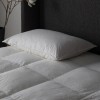 Simply Sleep White Anti Allergy Microfibre and 100% Cotton Pillow