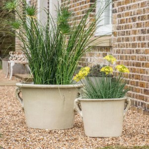 Regency Design Rayleigh Oatmeal Large Garden Planter Regency Design Rayleigh Oatmeal Large Garden Planter