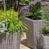 Maze Rattan Garden Furniture Cotswold 3 Shaped Tall Planters