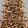 Nova 500 Copper Glow LED Compact Cluster Christmas Tree Lights