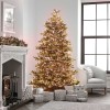 Nova 500 Copper Glow LED Compact Cluster Christmas Tree Lights