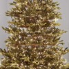 Nova 500 Warm White LED Compact Cluster Christmas Tree Lights